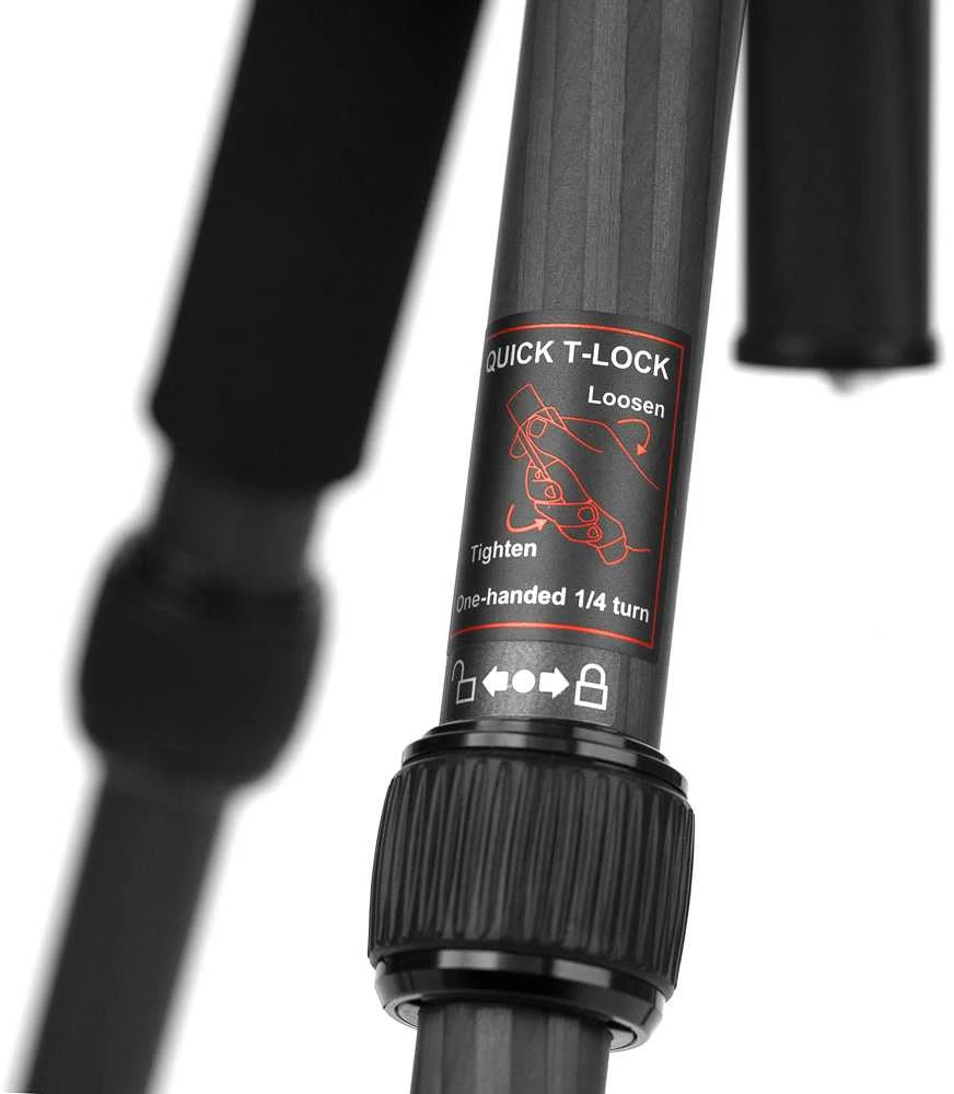 Stovas - Caruba Travelstar 143 Anglies 10kg Apkrovos Talpa 143cm Aukštis