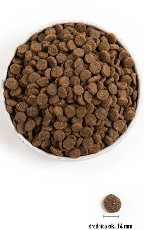 Acana Grass-Fed Lamb Dog sausas maistas šunims su ėriena 11,4 kg