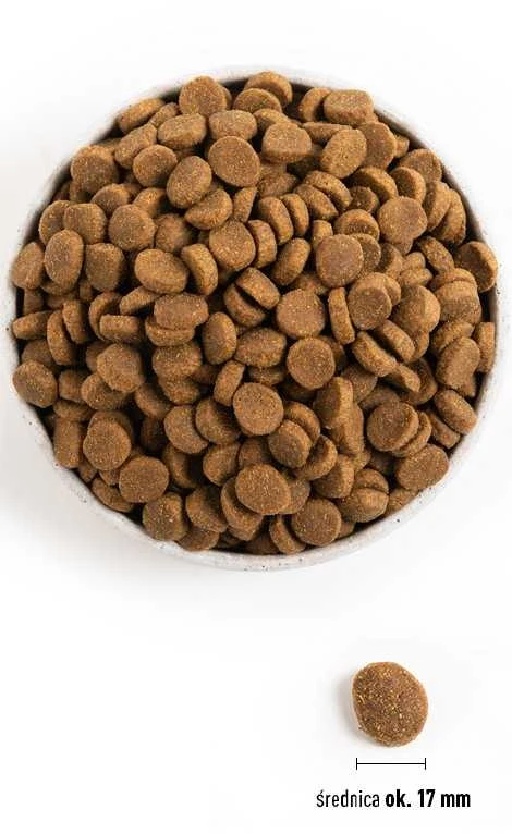 ACANA Dog Adult Didelės veislės 11,4kg