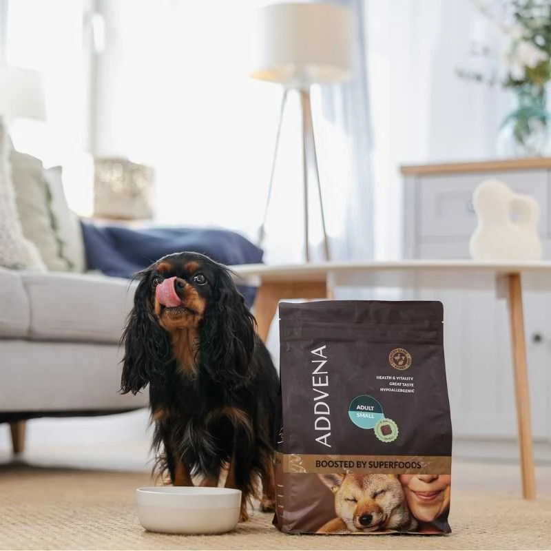 Šunų maistas - ADDVENA Boosted by Superfoods Suaugusiųjų Mažų Jaučių 2.5kg Be Grūdų