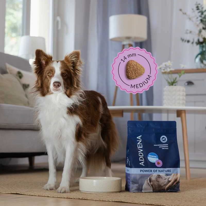 Šunų maistas - ADDVENA Power of Nature Adult Sensitive Medium/Large ėriena 10kg