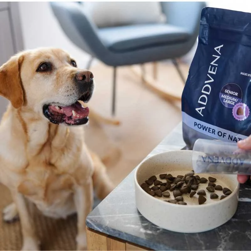 Šunų maistas - ADDVENA Power of Nature Senior Medium/Large ėriena 10kg
