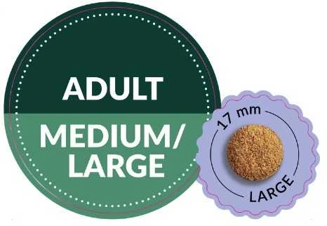 Šunų maistas - ADDVENA Taste Sensations Adult Medium/Large kalakutiena 10kg