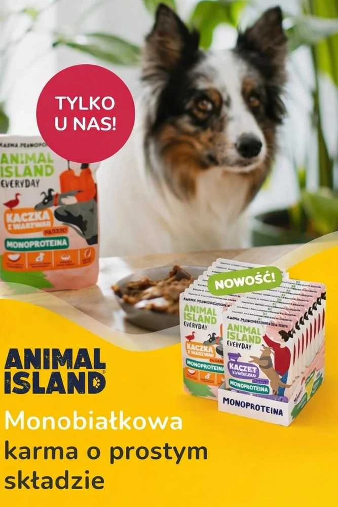 Šunų maistas - ANIMAL ISLAND Kasdienis Monoproteininis Veršienos/Anties 9x300g