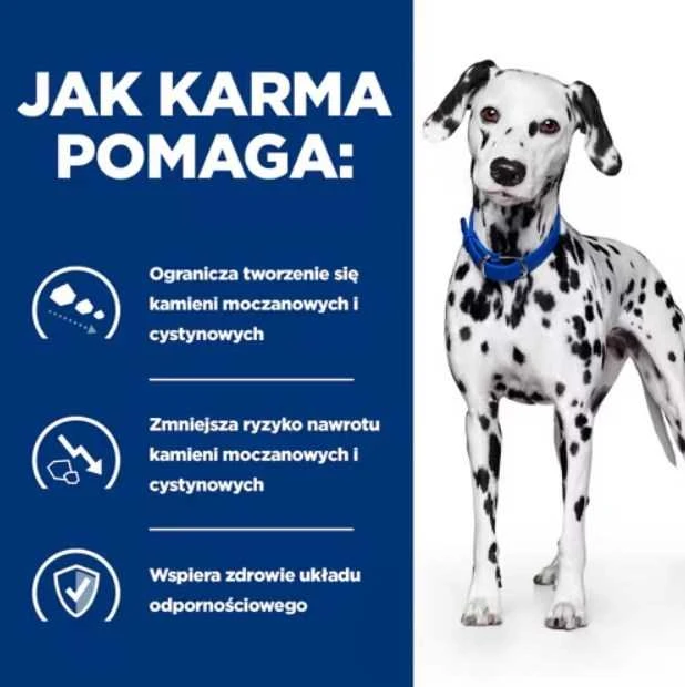 HILL'S Prescription Diet Urinary Care Original - šlapias šunų maistas - 370g