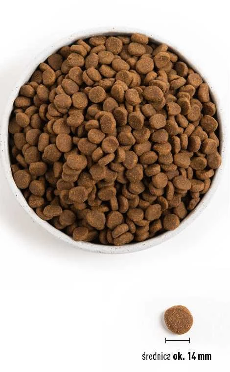 ORIJEN Original šunims 6kg