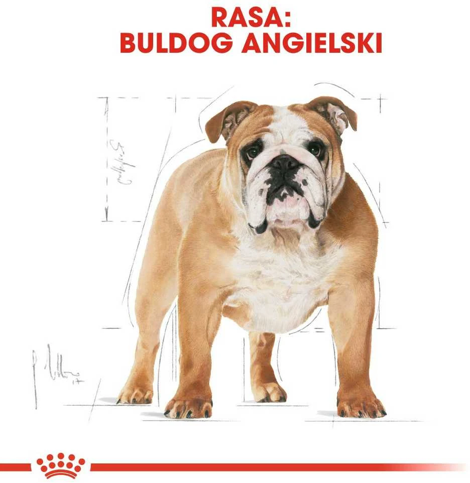 Royal Canin BHN Bulldog Adult 12kg