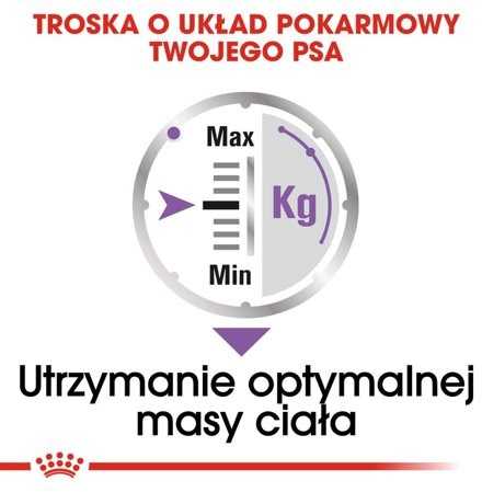 Šunų Maistas - Royal Canin Ccn Sterilised Loaf 12x85g