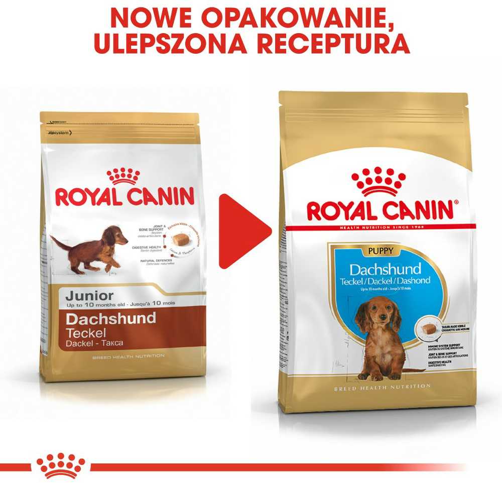 ROYAL CANIN Dachshund junior 1.5kg, taksų veislės jaunų šunų sausas pašaras