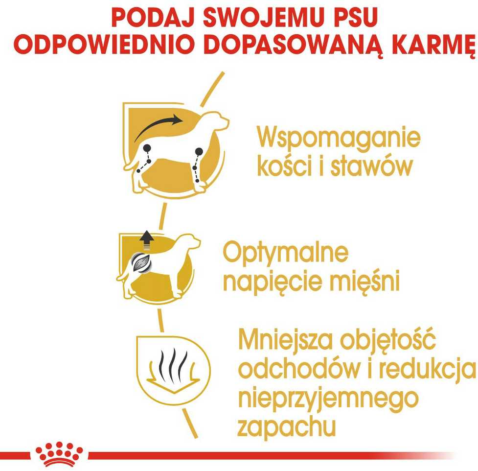 Royal Canin Dachshund Adult 7,5kg