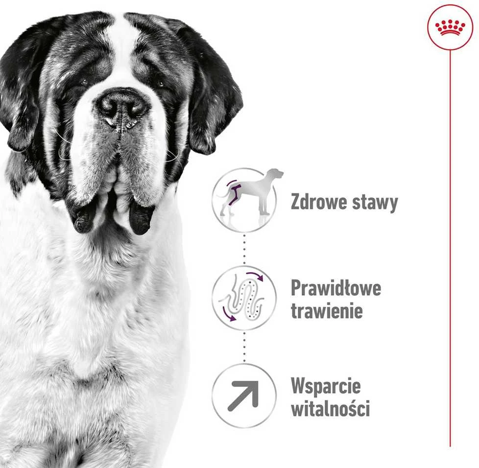 Royal Canin Giant Adult 15kg