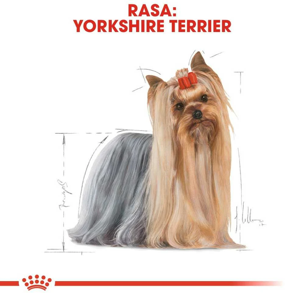 Royal Canin BHN Yorkshire Terrier Adult konservai 12x85g