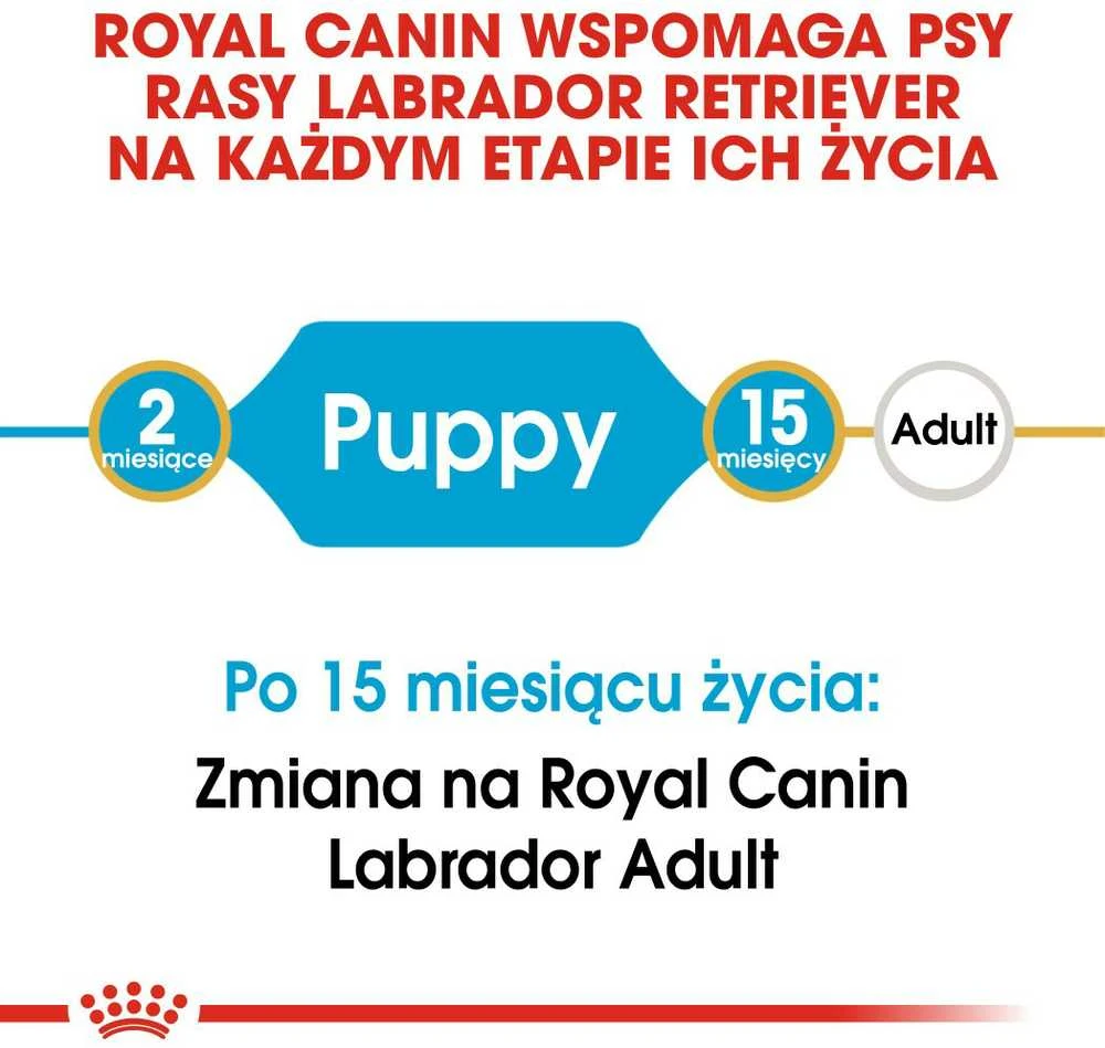 Royal Canin Labrador Retriever Junior 12kg