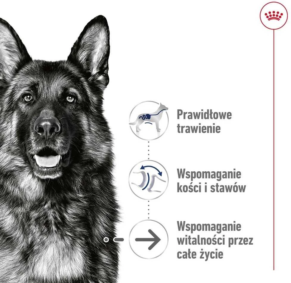 ROYAL CANIN SHN Maxi Ageing Loaf konservas šunims, 410 g