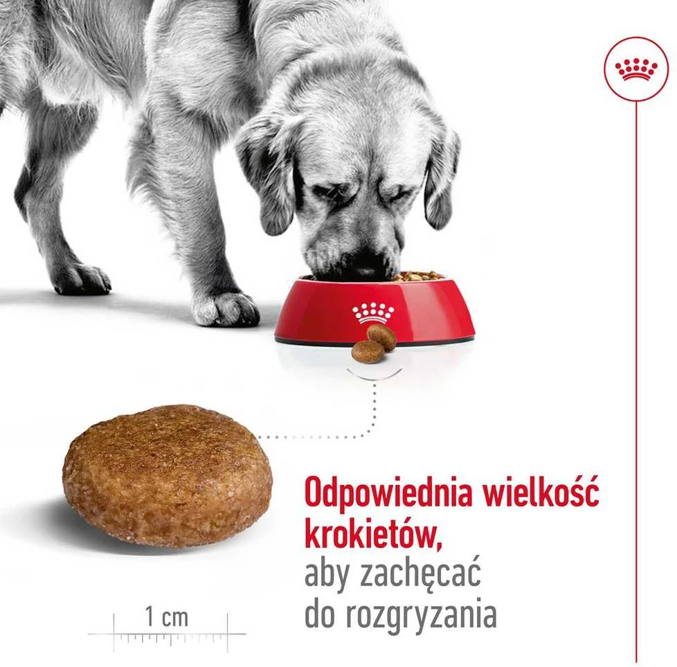 Royal Canin Maxi Adult 5+ 15kg