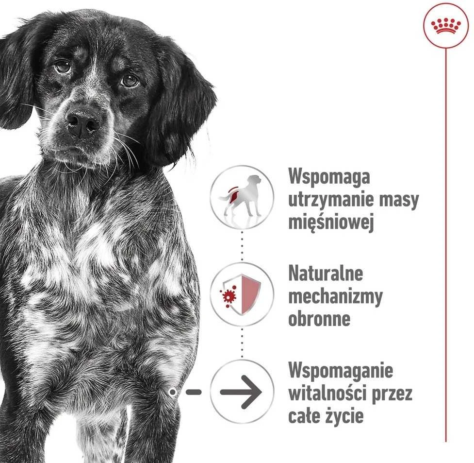 ROYAL CANIN SHN vidutinio brandinimo skardinė 410 g