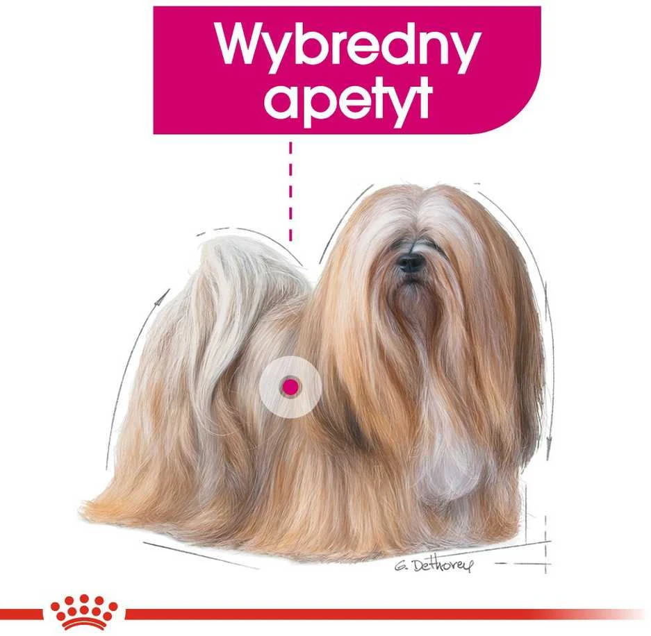 CCN Dog Exigent Mini 3kg