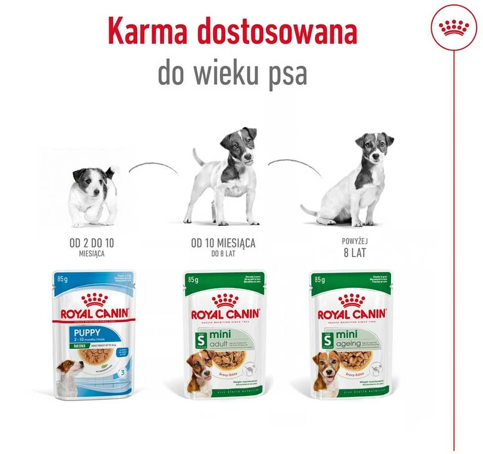Šunų Maistas - Royal Canin Mini Senėjimas 12+ 12x85g