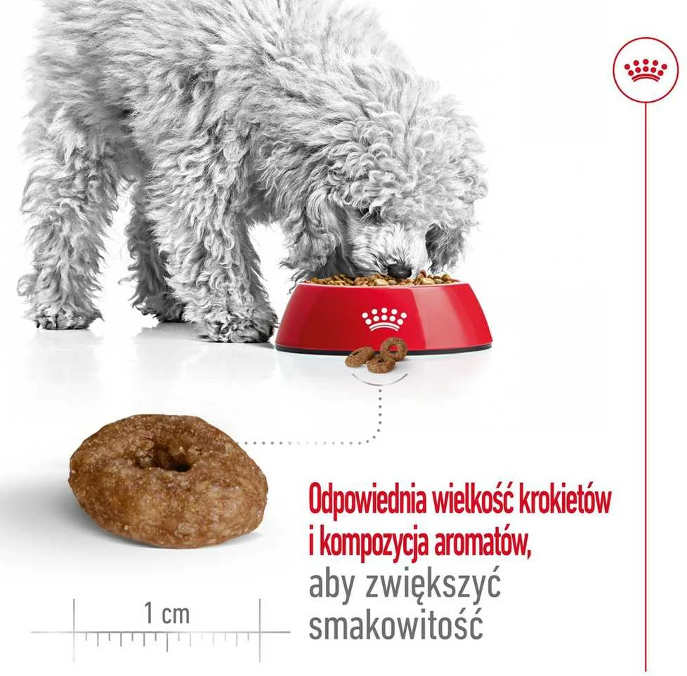 Royal Canin Mini Ageing 12+ 3,5kg