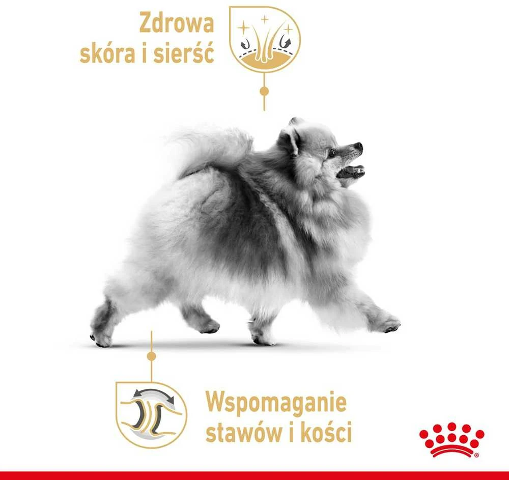 Šunų maistas - Royal Canin Pomeranian Adult sausas 3kg