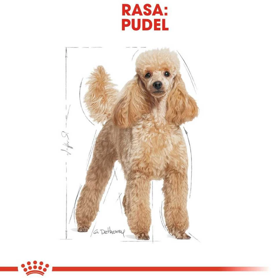 Royal Canin Poodle Adult 1,5kg