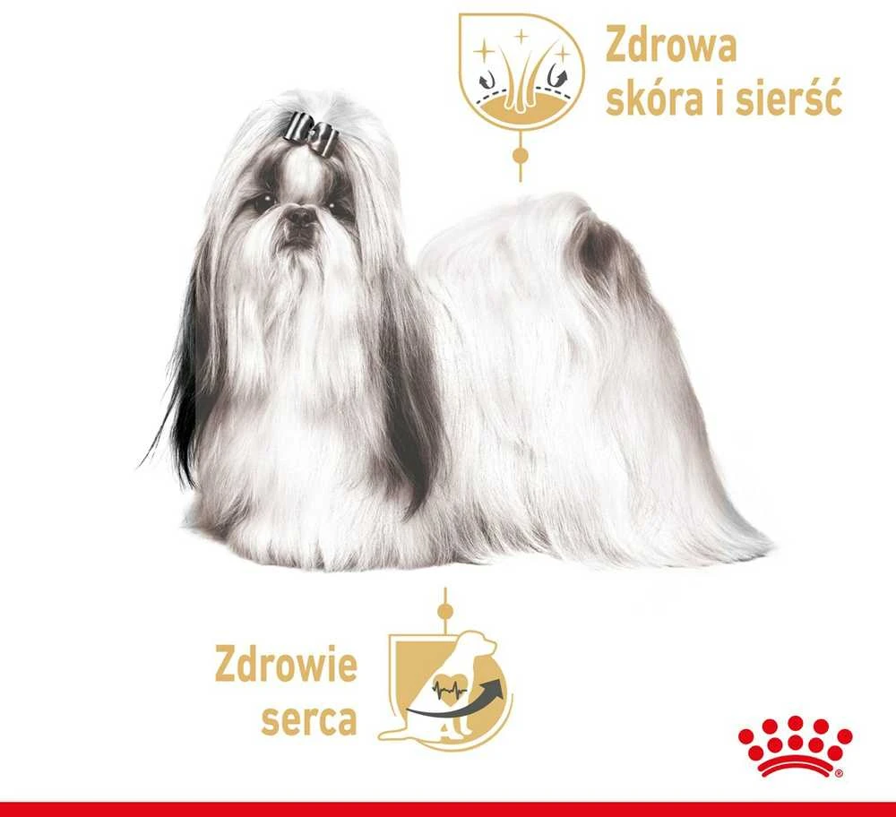 ROYAL CANIN BHN Shih Tzu Adult pašteto pavidalu - šlapias ėdalas suaugusiems šunims - 12 x 85 g