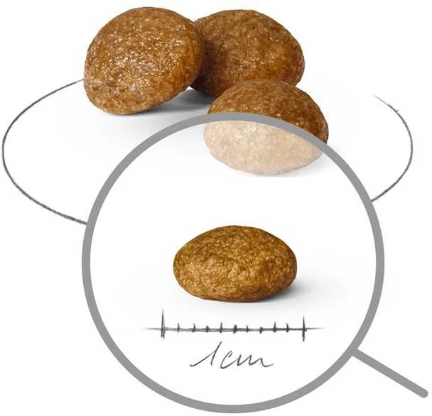 Royal Canin X Small Adult Sausas Maistas šunims, 500g