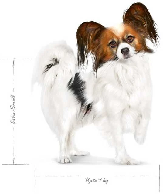 Royal Canin X Small Adult Sausas Maistas šunims, 500g
