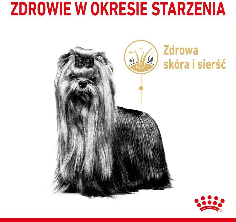 Royal Canin BHN Jorkšyro terjerų pašaras suaugusiems šunims (8+) 1,5kg