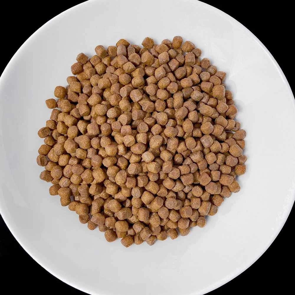 VET RESPONSE Renal – sausas Maistas šunims – 1,6kg