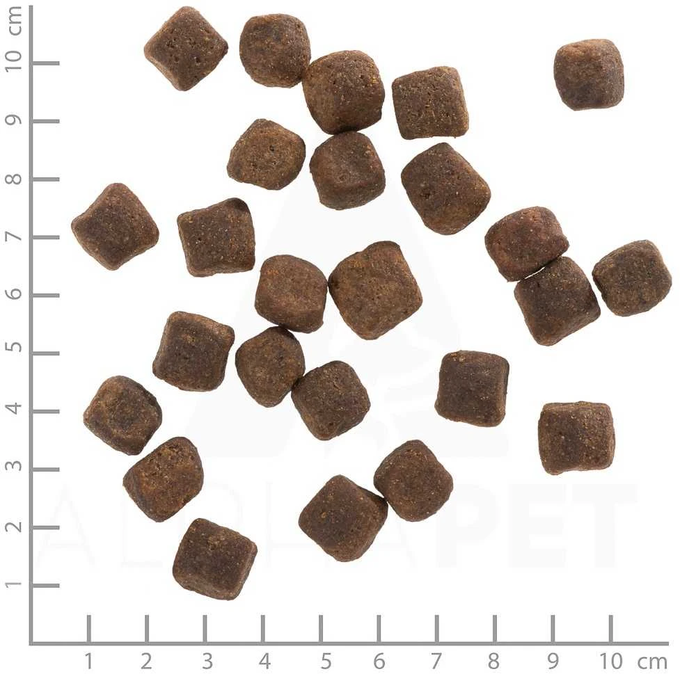 Šunų Maistas - WOLFSBLUT Dark Forest Venison Sausas 12.5kg Jautriems Skrandžiams