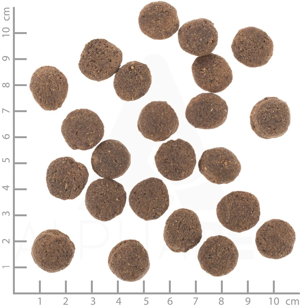WOLFSBLUT VetLine Hypoallergenic Horse with sweet potatoes – sausas Maistas šunims – 2kg