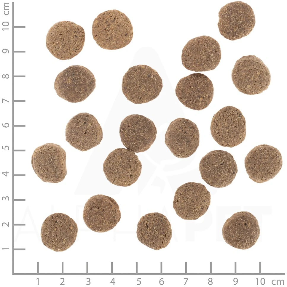 WOLFSBLUT VetLine Weight Management kalakutiena – sausas Maistas šunims – 12kg
