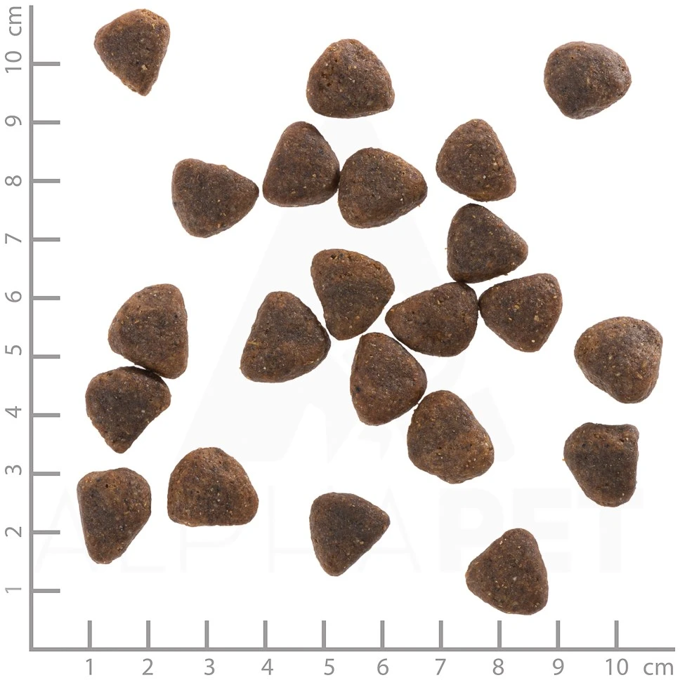WOLFSBLUT Wide Plain Horse – sausas Maistas šunims – 2kg