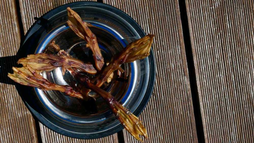 BULT Duck feet - dog treat - 100g