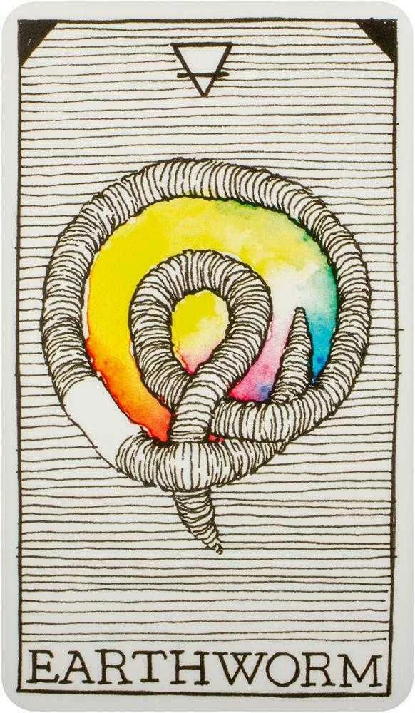Taro Kortos The Wild Unknown Pocket Animal Spirit Harper One