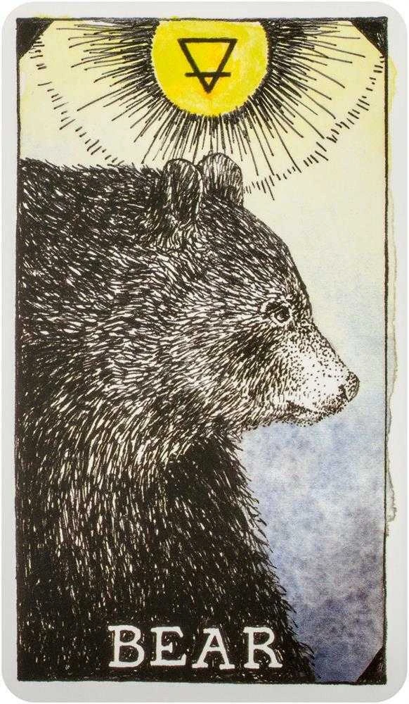 Taro Kortos The Wild Unknown Pocket Animal Spirit Harper One