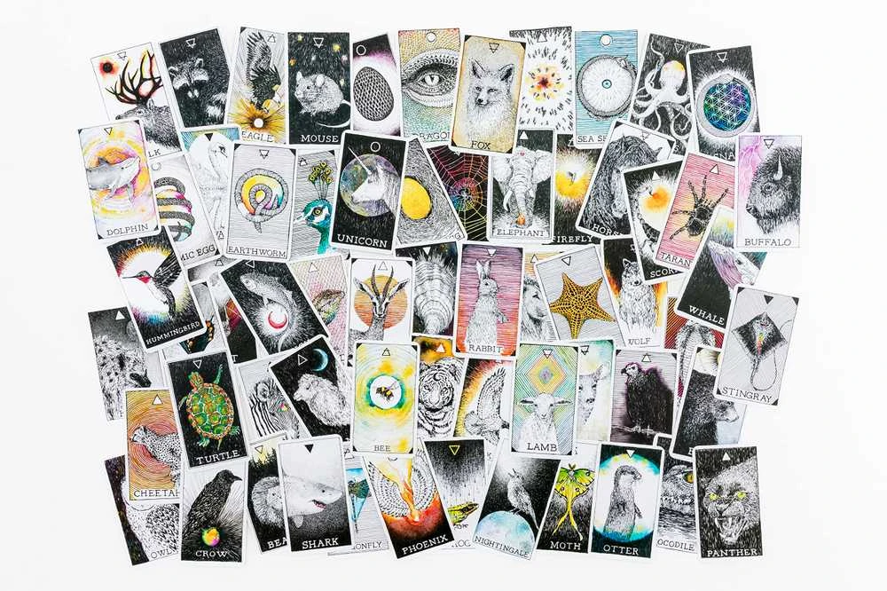 Taro Kortos The Wild Unknown Pocket Animal Spirit Harper One