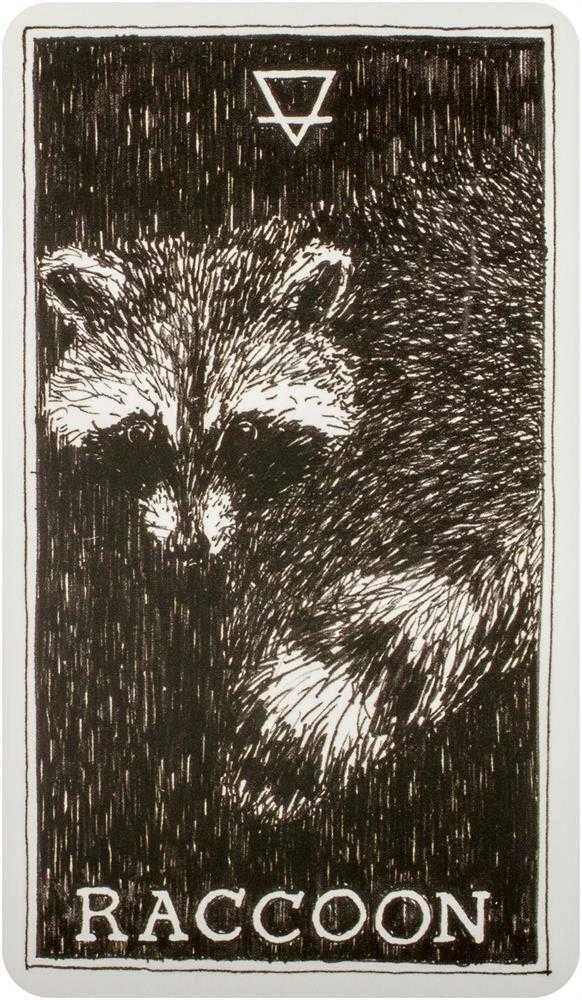 Taro Kortos The Wild Unknown Pocket Animal Spirit Harper One