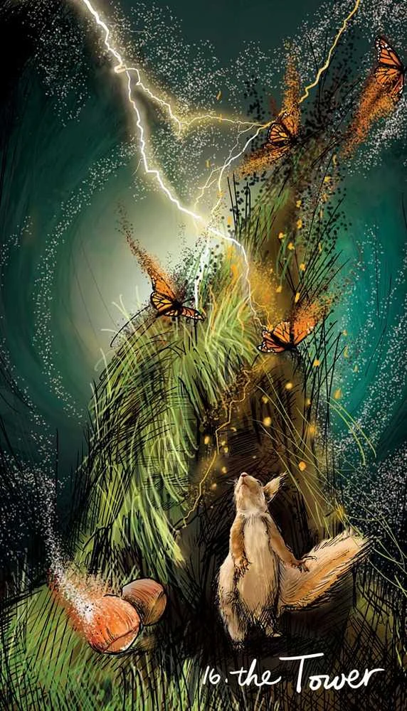 Tarot Kortos Light Seer Pocket Hay House