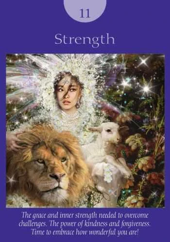KNYGA Fairy Tarot kortos Hay House