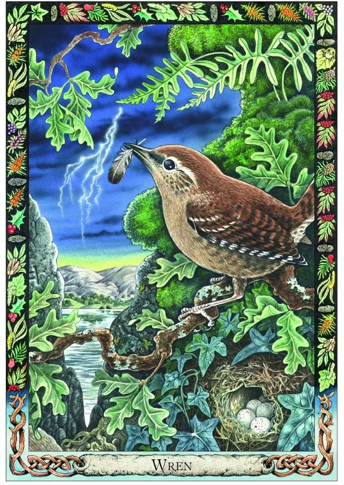 The Celtic Tree Oracle kortos Welbeck Publishing
