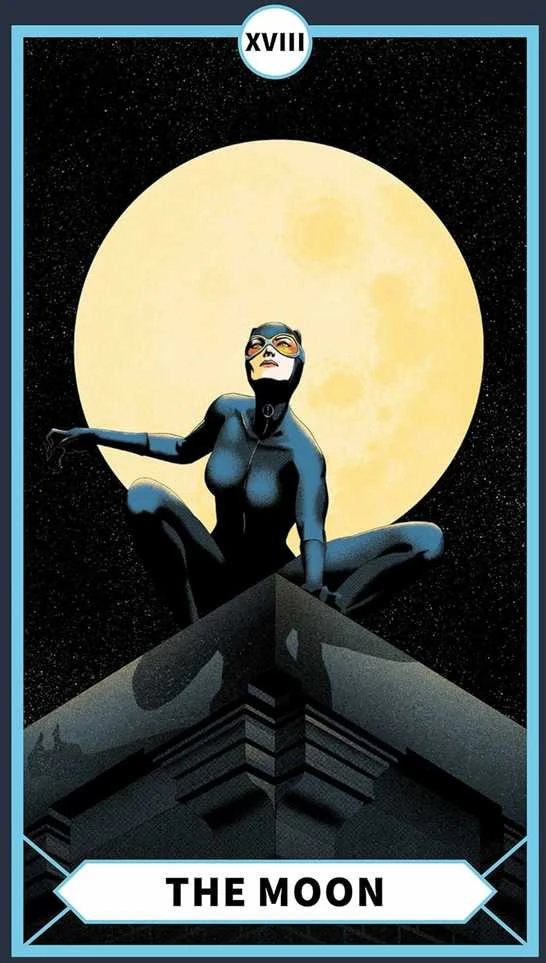 The DC Taro Kortos Insight Editions