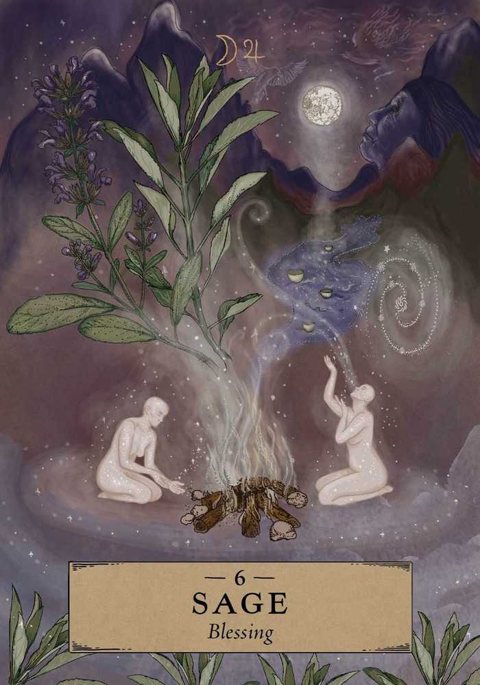 The Herbal Astrology Pocket Oracle Taro kortos Hay House