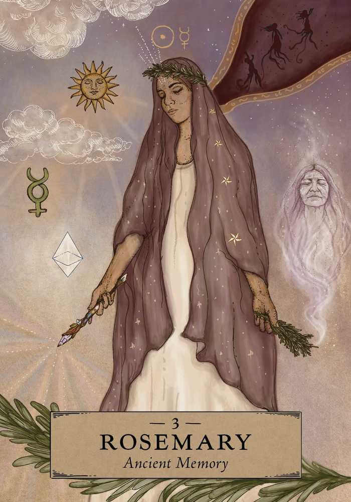 The Herbal Astrology Pocket Oracle Taro kortos Hay House