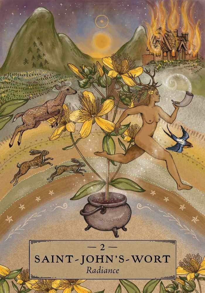 The Herbal Astrology Pocket Oracle Taro kortos Hay House