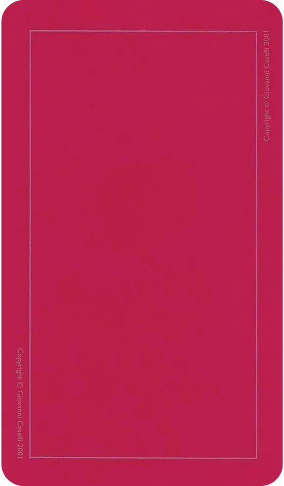 US Games Systems Beginners Guide To Tarot Kortos Ir Knyga