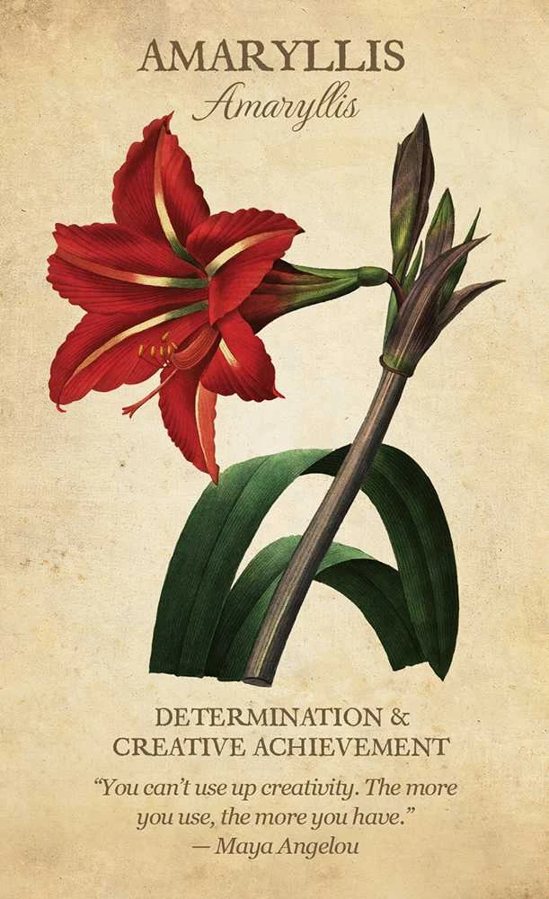 US Games Systems Botanical Inspirations Kortos