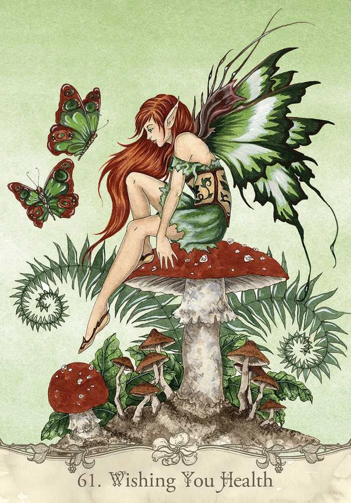 US Games Systems Fairy Wisdom Oracle Kortos Ir Knyga