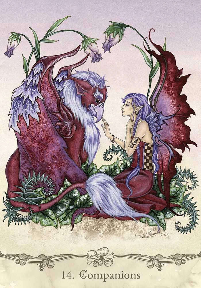 US Games Systems Fairy Wisdom Oracle Kortos Ir Knyga
